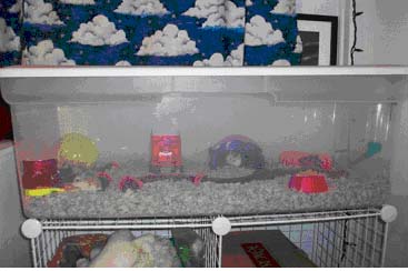 storage bin hamster cage